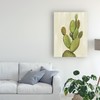 Trademark Fine Art Silvia Vassileva 'Front Yard Cactus I' Canvas Art, 18x24 WAP10434-C1824GG